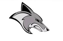 silvercoyotes.jpg